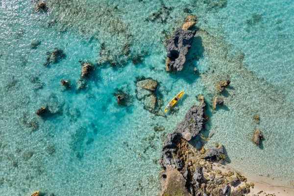 People kayaking in the ocean
