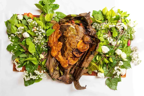 A cut of meat served on a bed of fresh greens