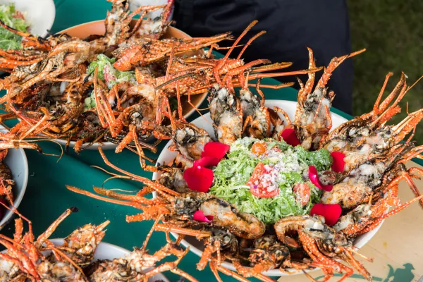 Two platters of spiny lobsters