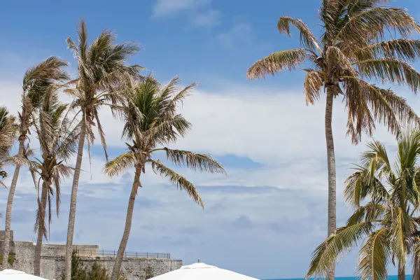 The pool at the St. Regis in Bermuda