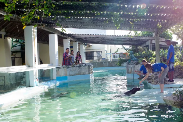A family visiting the seal exhibit at the Bermuda Aquarium