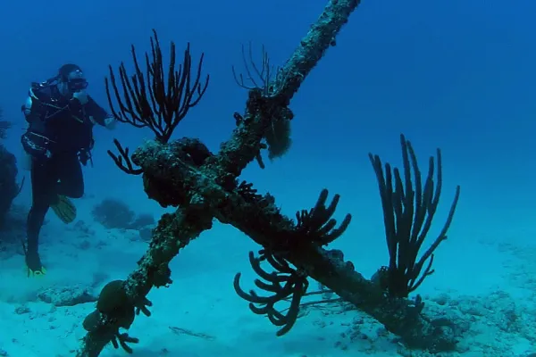 Dive Bermuda at Fairmont Southampton – Dive Bermuda 1