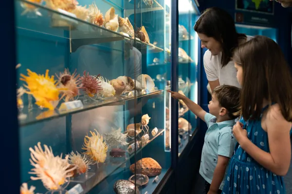 A family is posing at BUEI shell room.