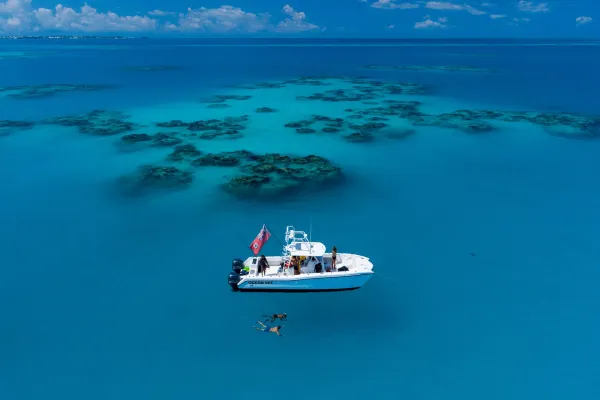 Friends snorkelling in Bermuda next to a boat.