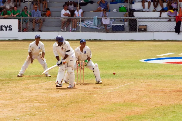 Men are playing cricket.