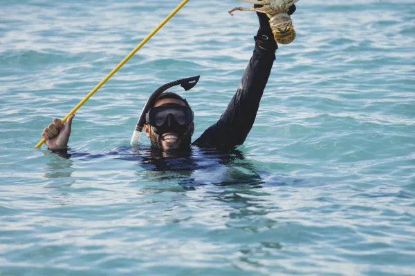 A man fishing for spiny lobster in Bermuda.