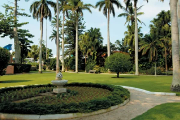 Green space with monument in the middle and palm trees in the background