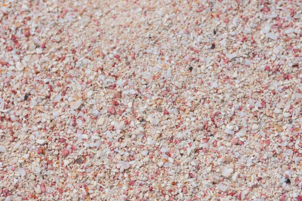 Warwick long bay pink beach.