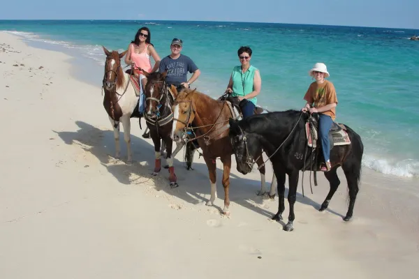 Watsons Performance & Trail Horses – Watsons Horseback Riding