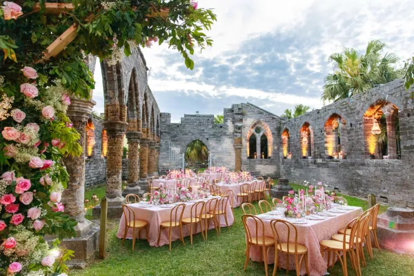 Dasfete – David Tutera