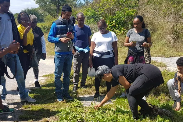 Taste The Wild Edible Flavours Of Bermuda