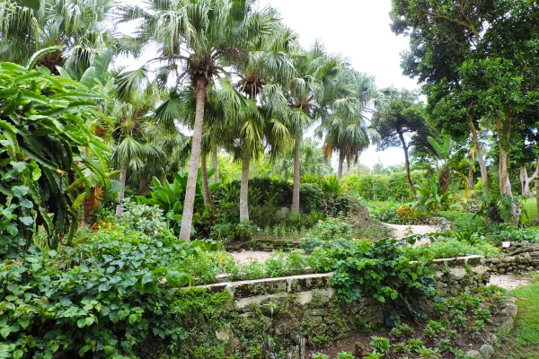 The Arboretum – THE ARBORETUM