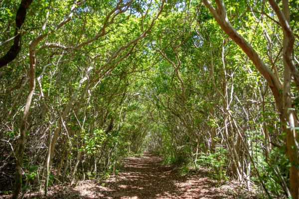 Walsingham Nature Reserve – Walsingham Nature Reserve