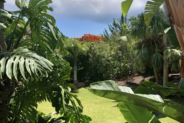 Leamington Caves – Front Lawn