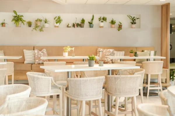 The Cloud – Interior