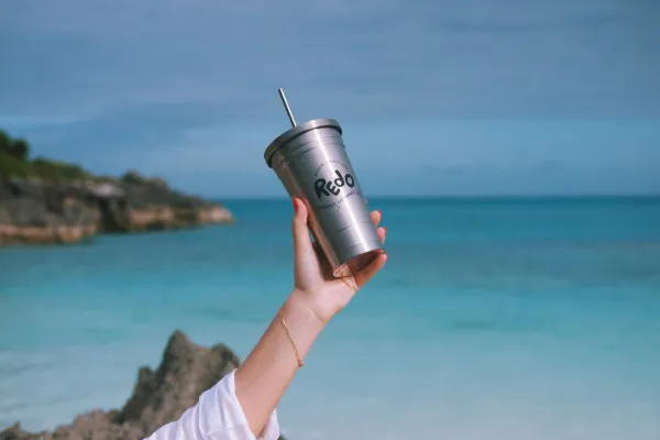 Redo - Bermuda's Sustainable Shop – Redo Bermuda's Sustainable Shop