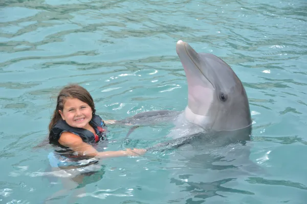 Dolphin Quest Bermuda – Dolphin Quest Bermuda