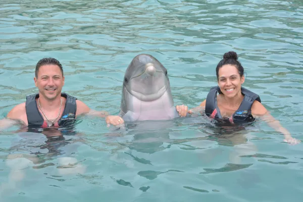 Dolphin Quest Bermuda – Dolphin Quest Bermuda