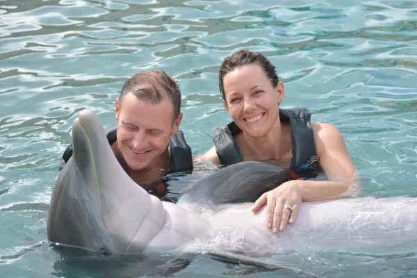 Dolphin Quest Bermuda – Fall In Love All Over Again With A Dolphin Encounter