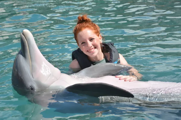 Dolphin Quest Bermuda – We Offer Interactions In Deep Water, Shallow Water, And Dockside