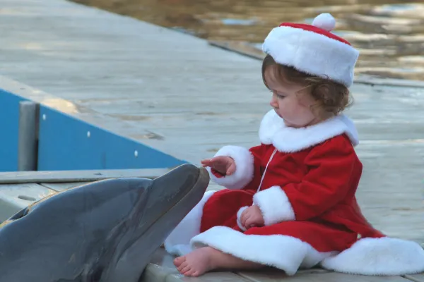 Annual "Carols With Dolphins" Signature Event
