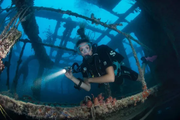 Dive Bermuda at Grotto Bay – King George