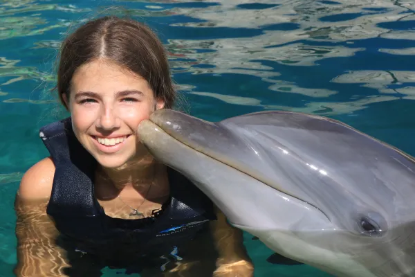 Dolphin Quest Bermuda – Dolphin Quest Bermuda