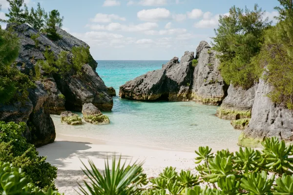 Jobson's Cove – Jobson's Cove