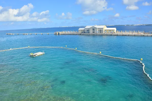 Dolphin Quest Bermuda – Dolphin Quest Ocean Sanctuary