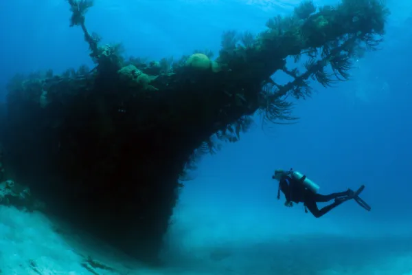Blue Water Divers & Watersports, Bermuda – Wreck Dive