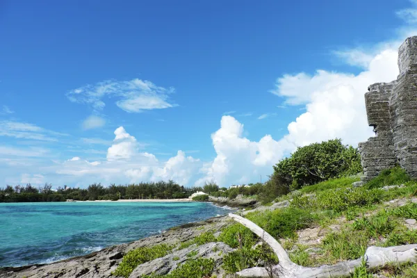 Shelly Bay Beach – Shelly Bay