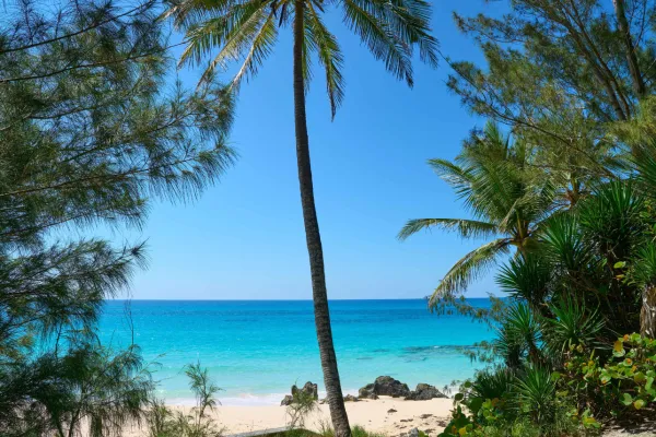 Southlands Beach – Southlands