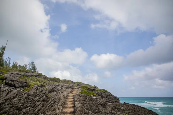 Spittal Pond Nature Reserve – Spittal Pond Nature Reserve