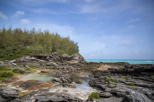 Spittal Pond Nature Reserve – Spittal Pond Nature Reserve