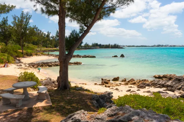 Theo's Cove – Theo's Cove