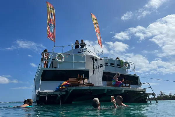 UberVida – UberVida