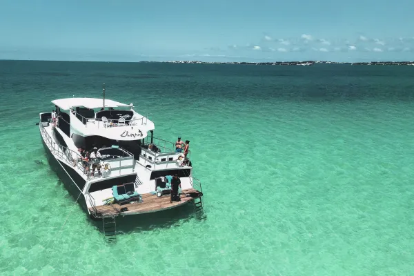 UberVida – UberVida