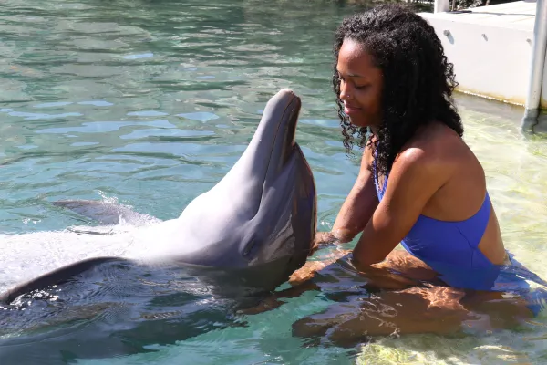 Dolphin Quest Bermuda – Dolphin Quest Bermuda Connection