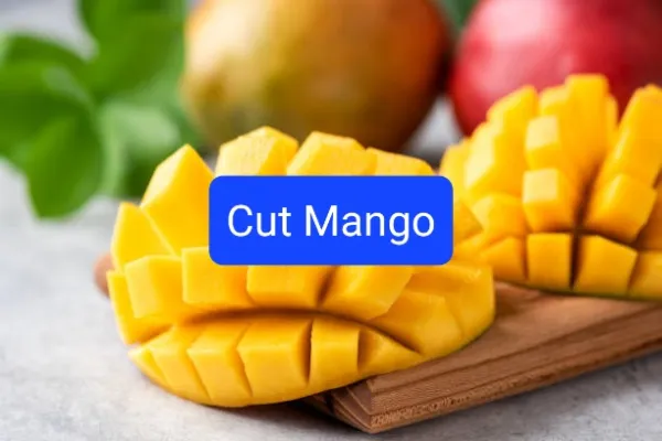 Dill Pickle Farming – Dill Pickle Farming