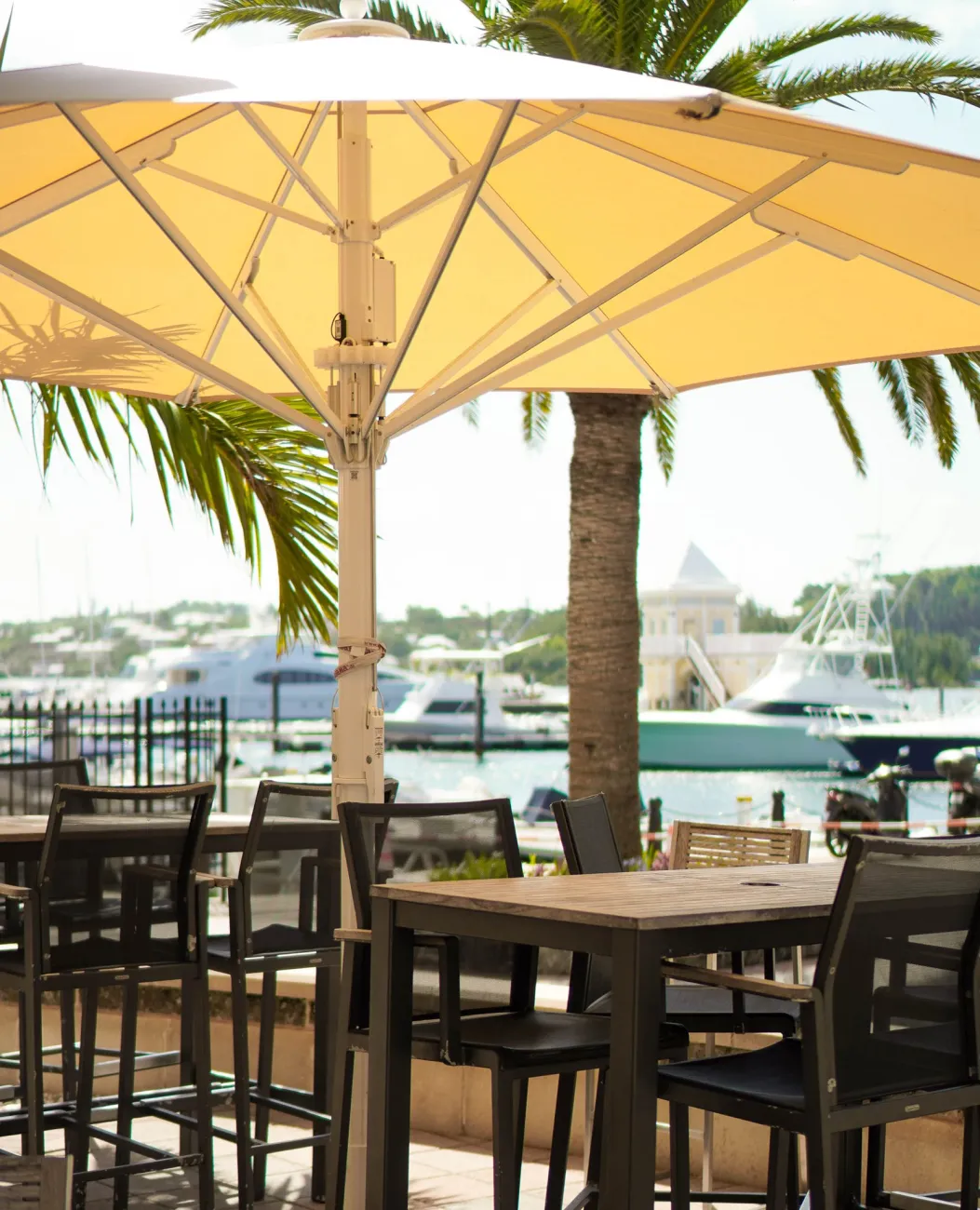 A view of a marina from Harry's Bar. 