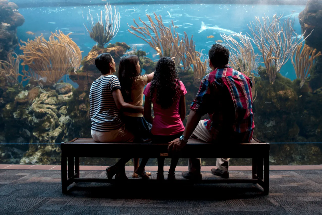 A family at the zoo in Bermuda