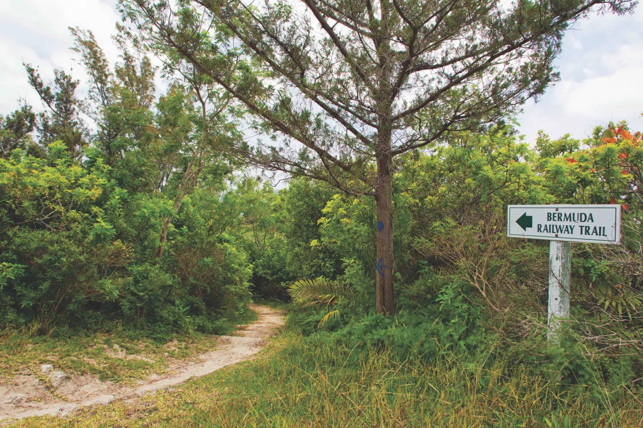 Scaur Park along the Railway Trail in Bermuda