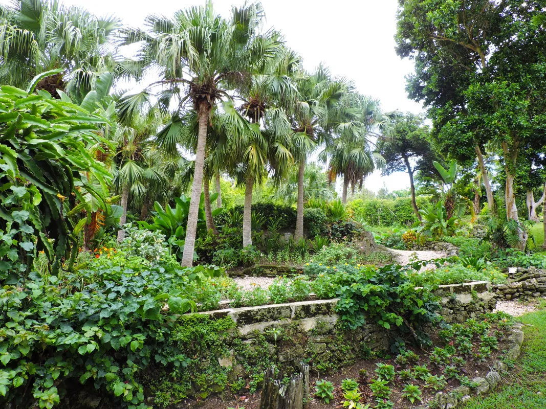 The Arboretum – THE ARBORETUM