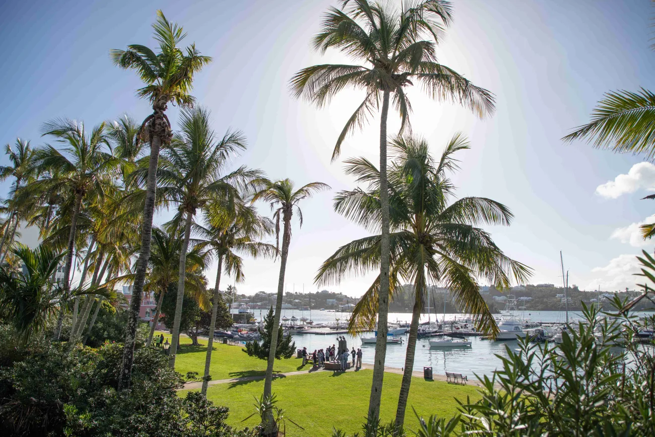 A wide shot of a group viewing an African Heritage Statue in Barr's Park.