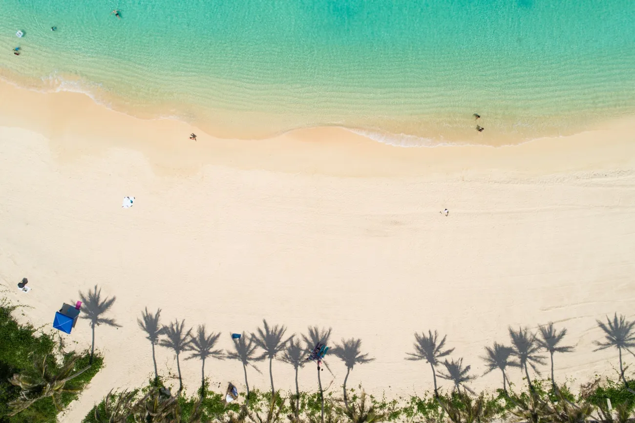 Cooper Nature Reserve in Bermuda