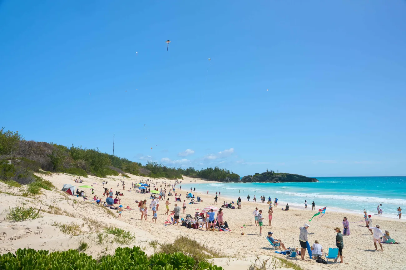 Kites are flying on the beach