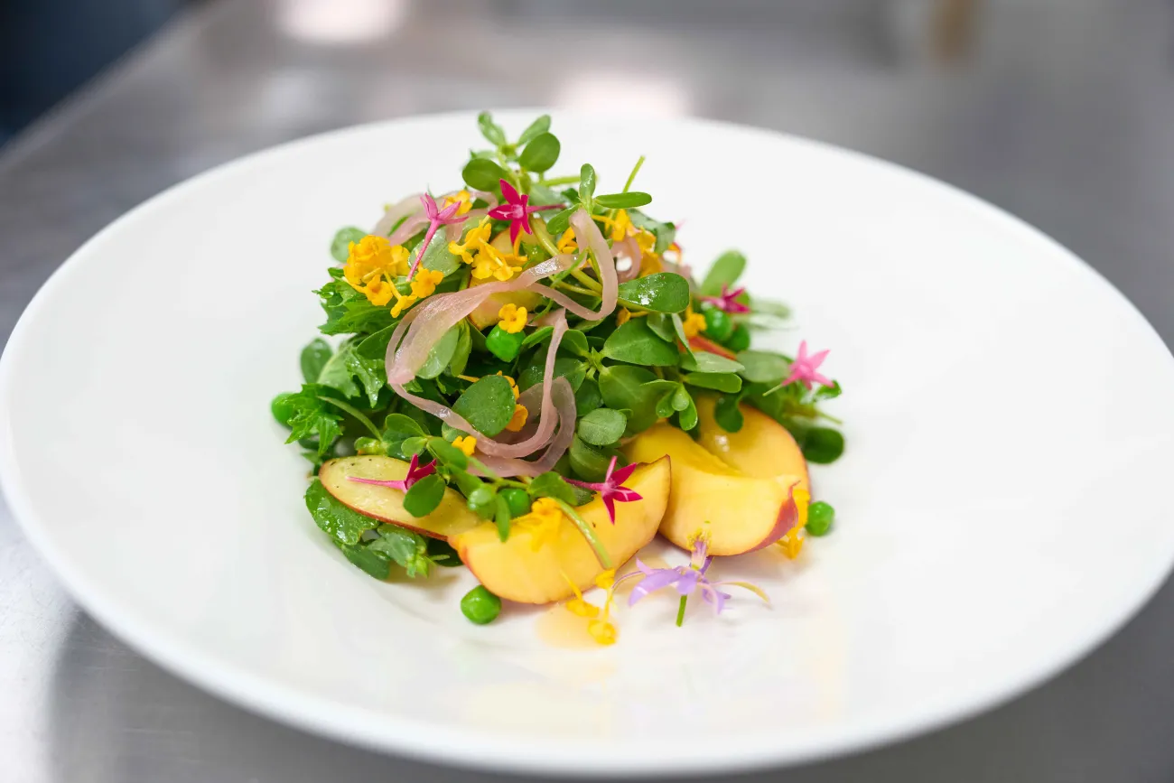 A seasonal plated of Vegan food.