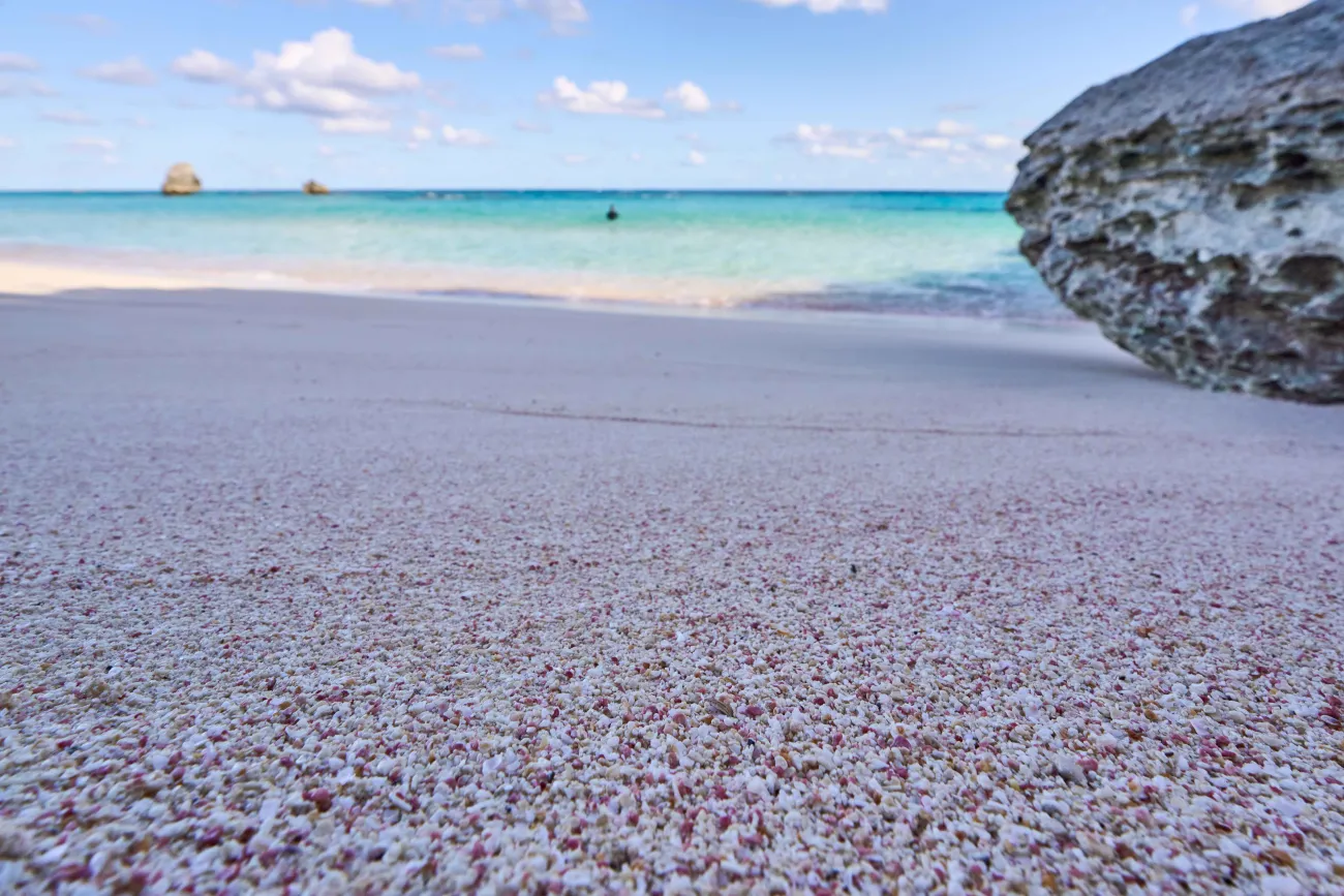 close of of warwick long bay pink sand.