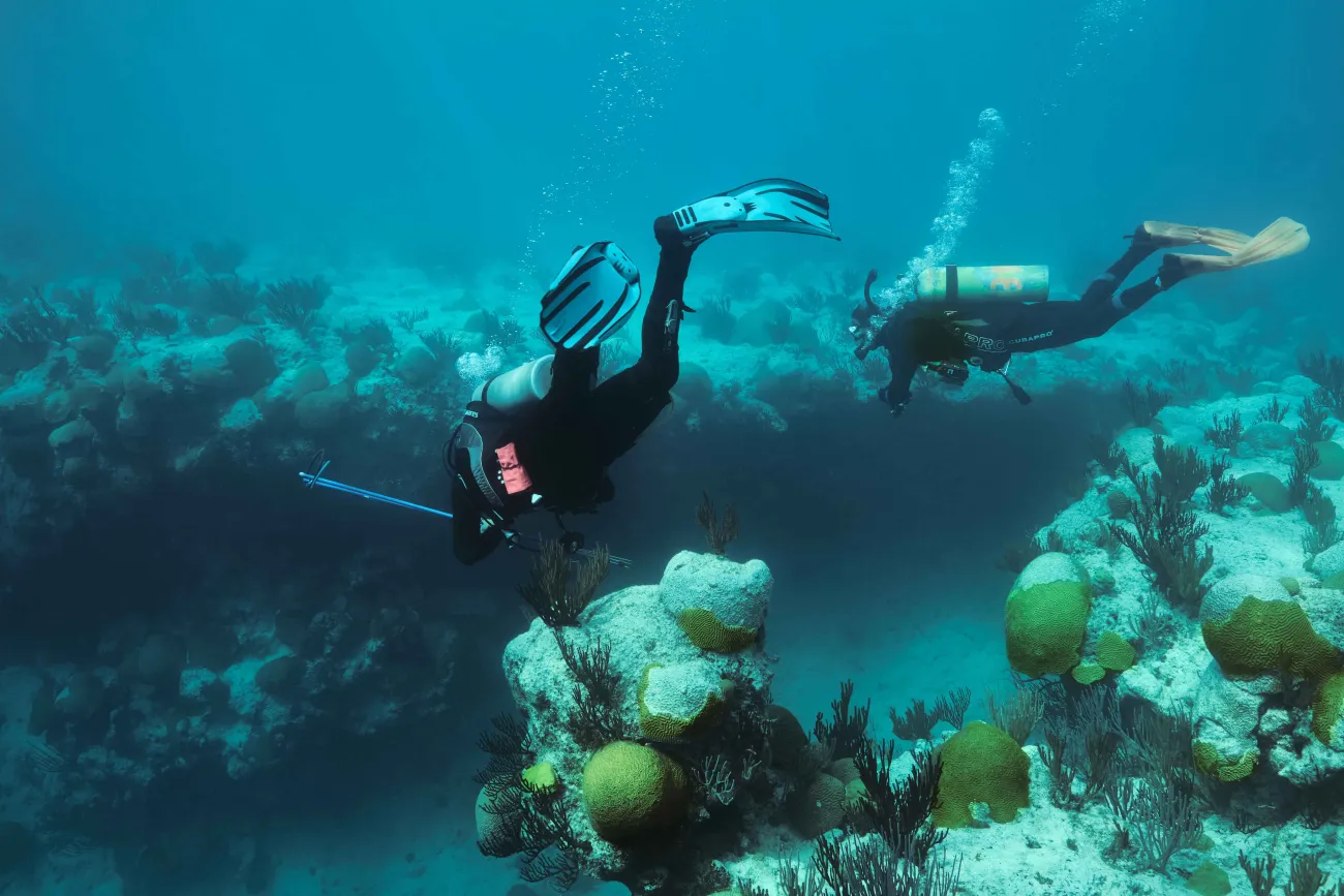 Two people are scuba diving.