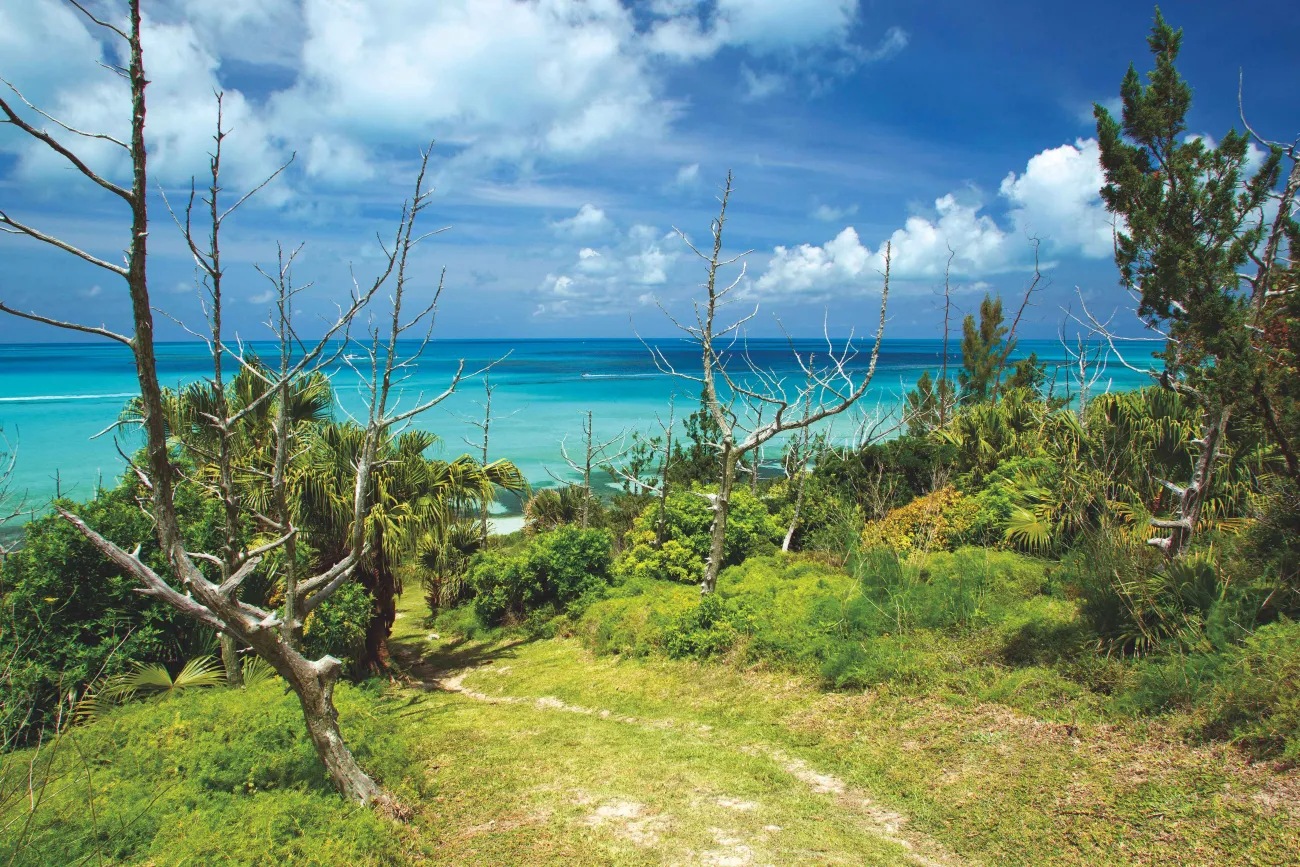 Wide view of a lush green park in front on an ocean view.
